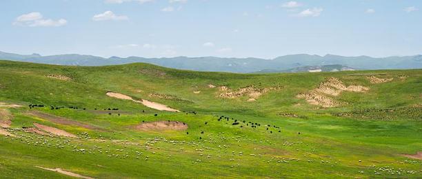 黄软件app下载3.0.3免费oppo版大全装扮：极速改装王3.0.3版本正式上线，深度优化安卓设备，打造专属汽车艺术