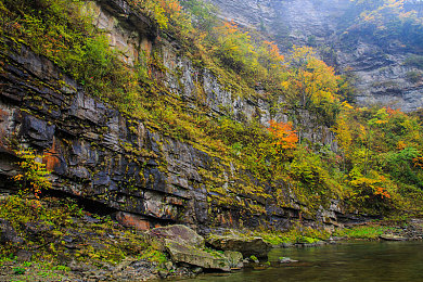 操人app：极速狂飙，改装你的虚拟车神之路，体验真实赛道激情