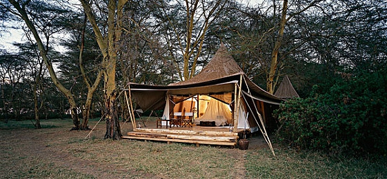 八重神子和丘丘人繁洐的视频：自动索敌战术革新日常委托，玩家创意提升刷材料效率-2