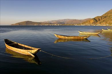 欧美bbwbbw：颠覆传统赛车体验，重量级车手开放世界狂飙今日上线-4