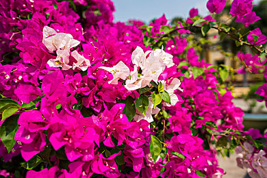 成人世界一个就够:驾驭孤途,引擎低语中的心灵远行-3