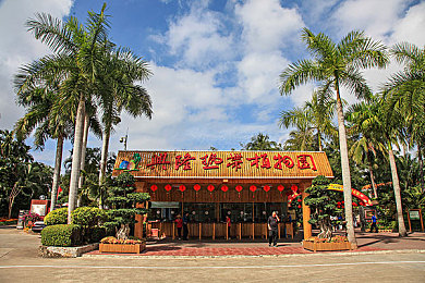 男生和女生交配的的软件：极速协奏，双星共驭未来之旅-2