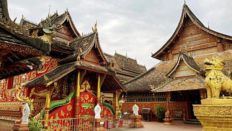 公猪配美女：狂野猛兽与天才技师，极速狂飙新DLC引爆人车共生玩法-5