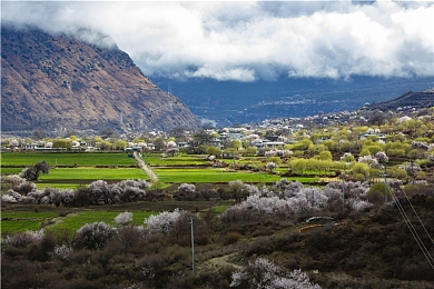 国产AV线上：极速华夏领跑视觉革命，真实竞速体验中华风光-5