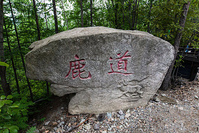 中国少妇xxx.：女性玩家竞速新纪元，地平线5打破刻板印象-2