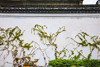 黄色软件app下载3.0.3免：霓虹城狂飙新纪元，街头赛车物理引擎全面升级-2