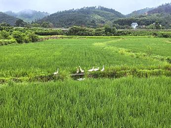 九一区二区：征服极限赛道，掌握地平线竞速双面挑战-3