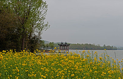 一小男孩妈妈胡萝卜的故事：亲情能量驱动奇幻竞速，收集记忆碎片驶向温暖终点-4