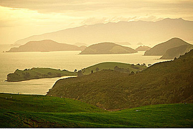 嘛豆人妻：家庭竞速新作今日曝光，经典吃豆人变身都市主妇挑战多任务赛道-3