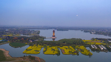 911红领巾黑料吃瓜网曝门:极速狂飙背后的付费迷雾,国产赛车游戏陷舆论漩涡-3