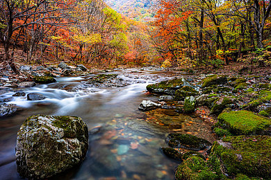 国产传媒乱伦：资本，谎言与无声的证词，一场赛博都市的舆论风暴-2