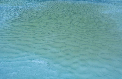 女人和公豬交内谢电影:文明枷锁与原始嘶鸣的内心独白剧场-3