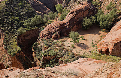 av国产电影：时光引擎，驶过国产车轮的四十年银幕-4