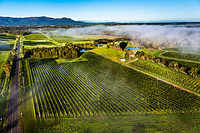 18摸App：引擎交响诗，指尖上的速度收藏馆-3