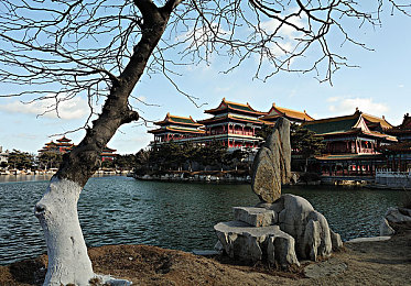 免费无码又爽又刺激片软件：极速解码无限狂飙，开放世界竞速新体验，真实物理引擎畅享改装乐趣-4