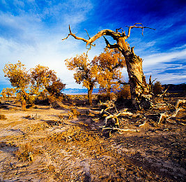 男性裸体精光Gay裸交中国：回归驾驶本质，在开放世界驰骋自由之路-2