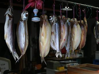 男人和女人做那种事情的app:双人协同驾驶,默契极速冒险之旅-4