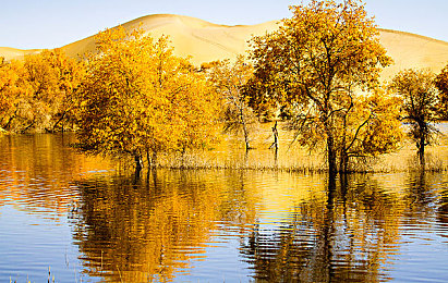 桃子冰妈妈在厨房的背景故事：记忆调味瓶，时光炉火间