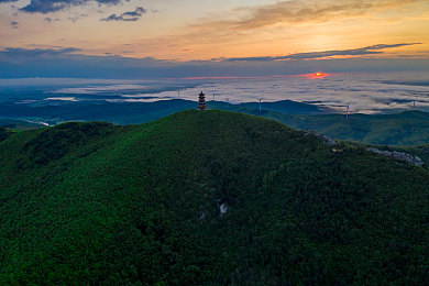 国产成人情色:深夜方向盘上的心灵邂逅,情感驾驶模拟器折射都市人性图谱-3