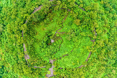 性别自由凸轮西元汇编：虚拟竞速新纪元，自定义身份与赛车性能的融合之旅-4