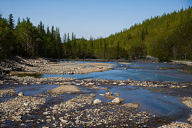 糟老头子无限破解版免费：时光轮痕，老骥驰骋于无界公路的硬核传奇-5