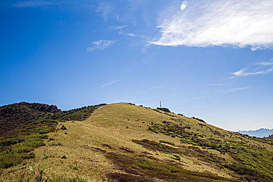 10大禁黄软件：《极速净化》今日上线，揭秘非法赛车软件背后的道德抉择与竞技风暴-2