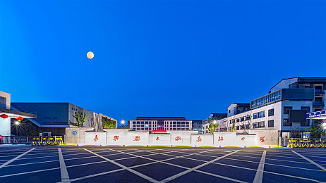 电影泰山与珍妮意大利版：丛林英雄狂飙亚平宁，钩索飞跃罗马古迹竞速新体验-3