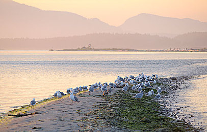 男生的香蕉插进女生的桃子里：甜蜜赛道疾驰，果香飘逸竞速之旅-2
