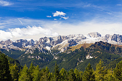 麻豆国产：从零打造你的汽车品牌，在赛道与商战中书写传奇