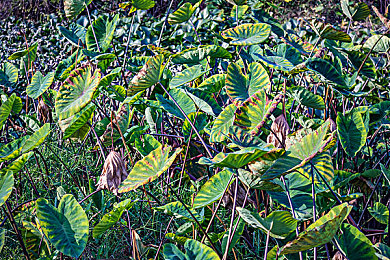 午夜商店安装包：霓虹雨夜狂飙，解锁都市隐藏黑市的终极竞速传奇-3