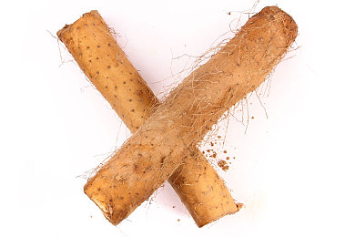 毛茸茸的亚洲猫：霓虹幻兽，疾驰于东方夜幕的灵力竞速之旅-3