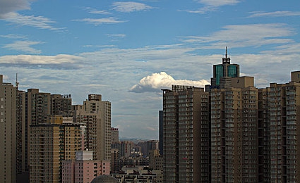 黄色搜狐3.0:霓虹轨迹,街头画布,极速艺术狂飙新纪元-2