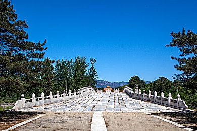 18禁看奶：极致视觉与硬核改装，体验地平线5的竞速盛宴