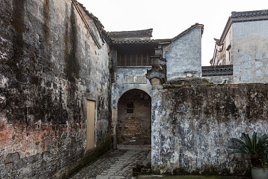 课代表趴下：夜幕下的双面人生，街头竞速挑战校园规则-1