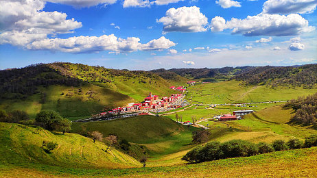 黄色暗网网站：霓虹深渊极速狂飙，数据洪流中的隐秘赛道-2