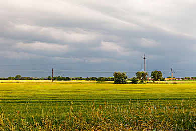 女生的坤坤：粉色调校与梦幻涂装，地平线5中的专属座驾艺术