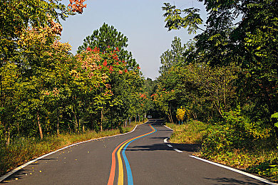 中国熟女毛茸茸：极品飞车热力追踪深度解析，警匪追逐的艺术与策略全揭秘-3