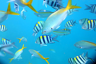 totakkahayakirix7777777怎么读：疾风斩极限引擎，隐藏代码激活虚拟赛车改装秘籍-2