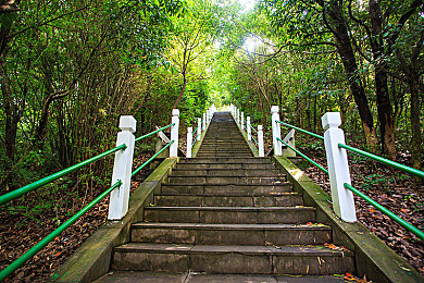 17c吃瓜网官网最新进展：都市赛车新作上线，情报系统驱动暗影竞速新体验-3