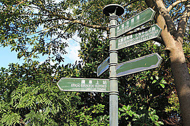 火影18禁动漫：竞速新体验，究极风暴中的忍者驾驶艺术全解析-3