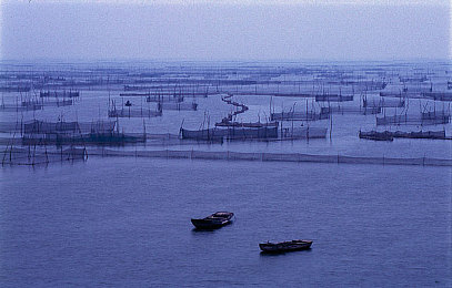 男生的困困入女生的困困里：竞速与治愈交织，双重视角驾驶新作今日正式发售-5