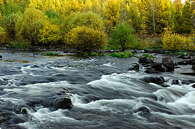 禁18黄色软件：未来赛车净化都市，视觉革命重塑极速美学-3