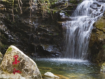 深夜色多多：霓虹不眠城，竞速狂想夜，你的引擎切割光影
