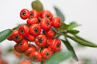 男女xx网站:《极限车手》全新资料片上线,双性别公平竞速引爆赛道对决-2