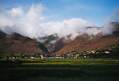 爱情岛论坛av：竞速新作今日上线，热带岛屿上演极速冒险与解谜征程-2
