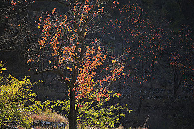 男生的小困困放在女生的小困困里：当竞速激情邂逅田园牧歌，全新混合类型游戏打破传统边界-3