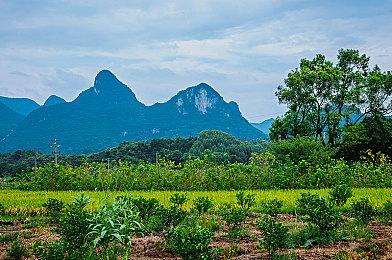 男生女生差差疼APP下载：双车协同竞速，碰撞与默契共舞的驾驶新体验