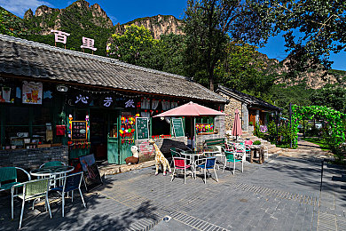 东京热成人app下载:霓虹夜幕下的街头狂飙,东京极速追逐之旅-3