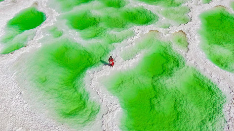 黄色免费下载软件：火山黄涂装疾驰，墨西哥开放世界竞速新纪元-2