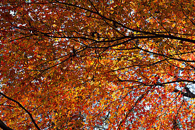 天美传媒麻豆av：虚拟偶像搭档登场，共驱未来赛车新纪元